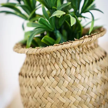 Stud Romarin 2pers Wifi Appartement